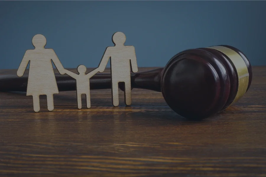 Family Lawyer