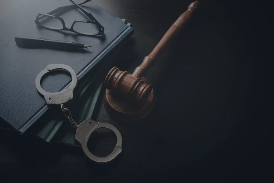 Criminal Lawyer